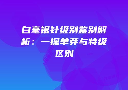 白毫银针级别鉴别解析：一探单芽与特级区别