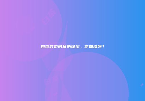 白茶散茶形状的秘密，你知道吗？