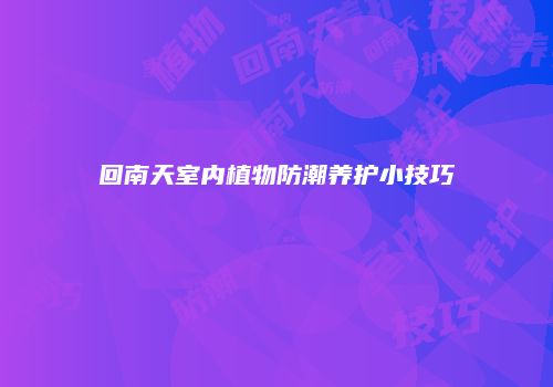 回南天室内植物防潮养护小技巧