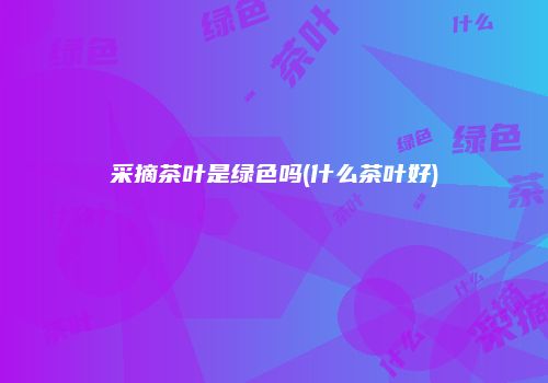 采摘茶叶是绿色吗(什么茶叶好)