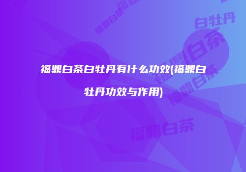 福鼎白茶白牡丹有什么功效(福鼎白牡丹功效与作用)