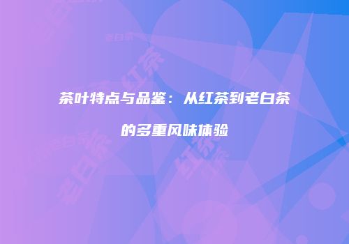 茶叶特点与品鉴：从红茶到老白茶的多重风味体验