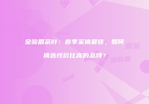 金骏眉茶叶：春季采摘最佳，如何挑选性价比高的品牌？