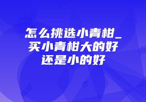 怎么挑选小青柑_买小青柑大的好还是小的好