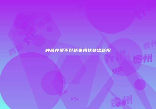 种茶养猪不对路贵州扶贫出新招
