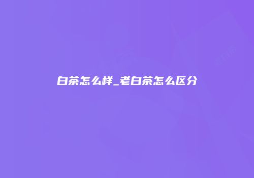 白茶怎么样_老白茶怎么区分