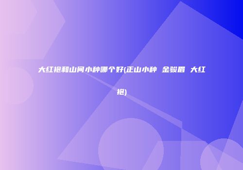 大红袍和山间小种哪个好(正山小种 金骏眉 大红袍)