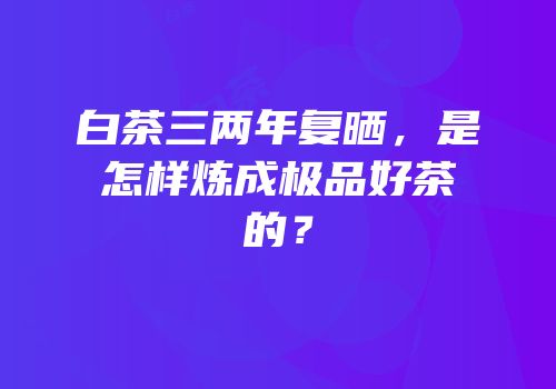 白茶三两年复晒，是怎样炼成极品好茶的？