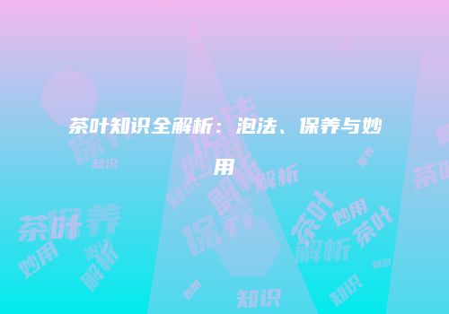 茶叶知识全解析：泡法、保养与妙用