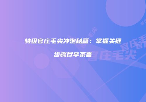 特级官庄毛尖冲泡秘籍：掌握关键步骤尽享茶香
