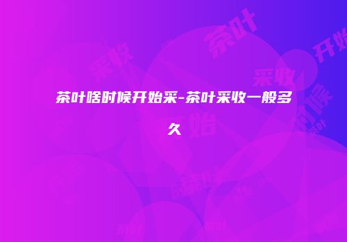 茶叶啥时候开始采-茶叶采收一般多久