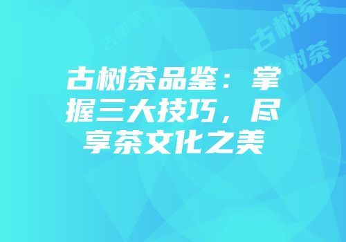 古树茶品鉴：掌握三大技巧，尽享茶文化之美