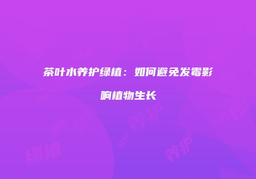 茶叶水养护绿植：如何避免发霉影响植物生长