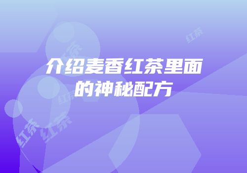 介绍麦香红茶里面的神秘配方