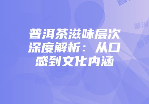普洱茶滋味层次深度解析：从口感到文化内涵