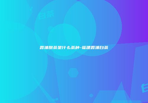 霞浦酿茶是什么茶种-福建霞浦白茶