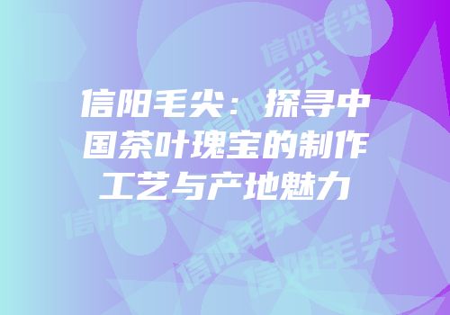 信阳毛尖：探寻中国茶叶瑰宝的制作工艺与产地魅力
