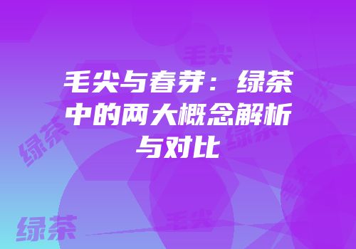 毛尖与春芽：绿茶中的两大概念解析与对比