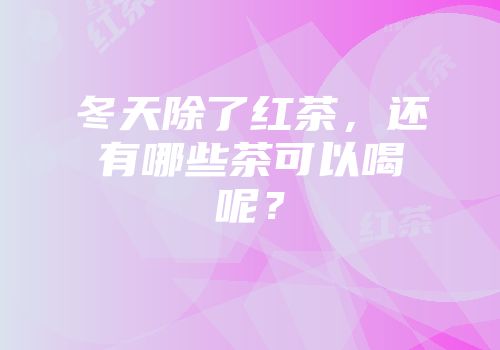 冬天除了红茶，还有哪些茶可以喝呢？