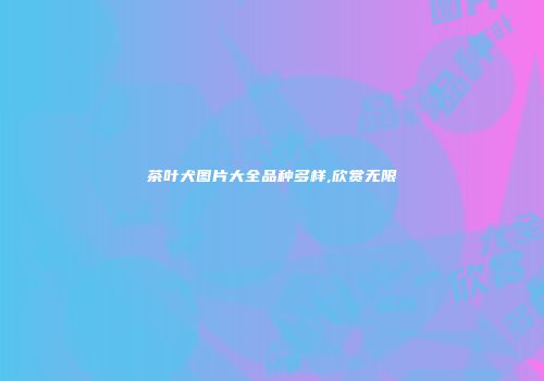 茶叶犬图片大全品种多样,欣赏无限