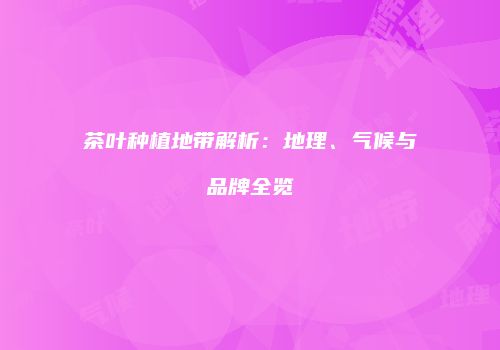 茶叶种植地带解析：地理、气候与品牌全览