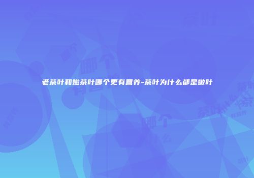 老茶叶和嫩茶叶哪个更有营养-茶叶为什么都是嫩叶