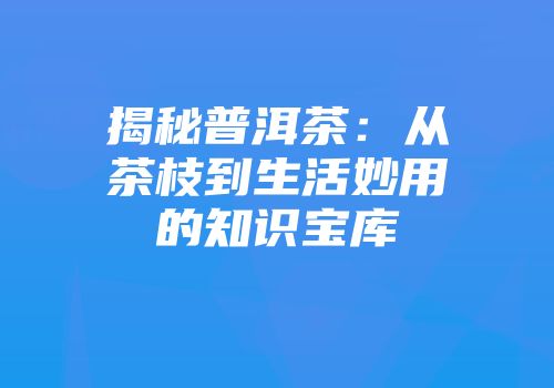 揭秘普洱茶：从茶枝到生活妙用的知识宝库