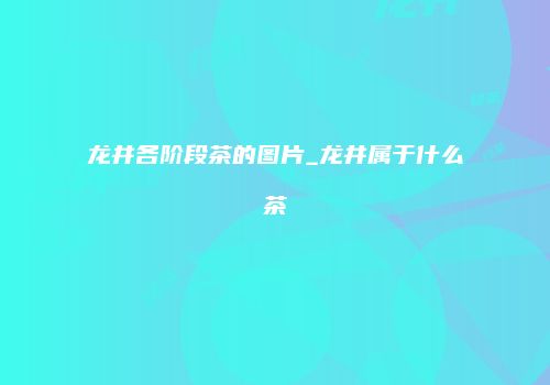龙井各阶段茶的图片_龙井属于什么茶