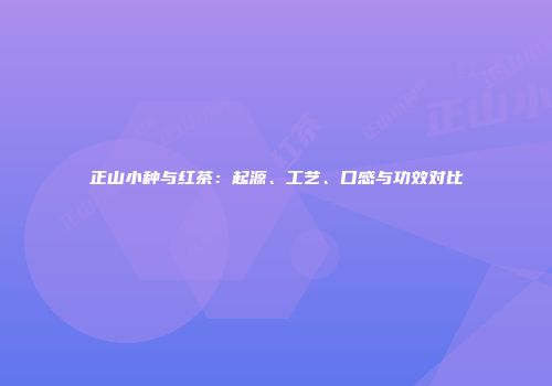 正山小种与红茶：起源、工艺、口感与功效对比