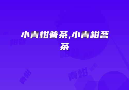小青柑普茶,小青柑茗茶