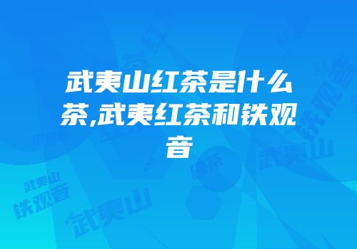 武夷山红茶是什么茶,武夷红茶和铁观音