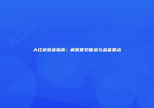 大红袍泡茶指南：解答常见困惑与品鉴要点
