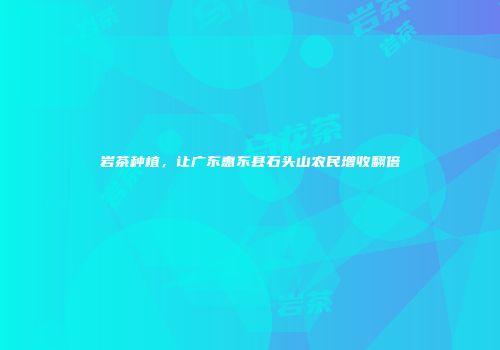 岩茶种植，让广东惠东县石头山农民增收翻倍