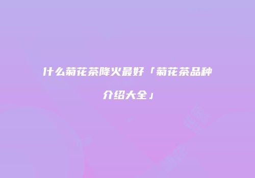 什么菊花茶降火最好「菊花茶品种介绍大全」