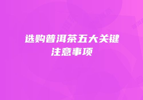 选购普洱茶五大关键注意事项