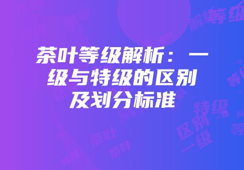 茶叶等级解析：一级与特级的区别及划分标准