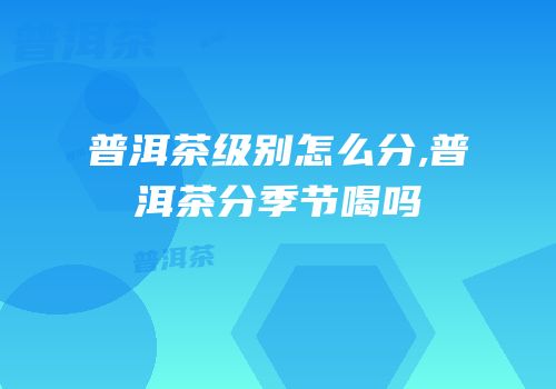 普洱茶级别怎么分,普洱茶分季节喝吗