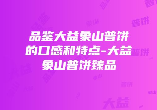 品鉴大益象山普饼的口感和特点-大益象山普饼臻品