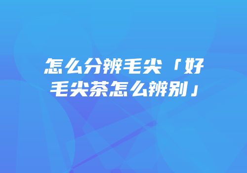 怎么分辨毛尖「好毛尖茶怎么辨别」