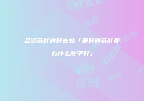品鉴茶叶的好去处「最好的茶叶都有什么牌子好」