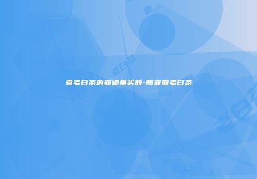 煮老白茶的壶哪里买的-陶壶壶老白茶