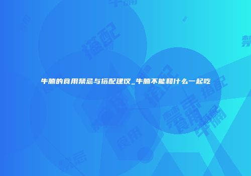 牛腩的食用禁忌与搭配建议_牛腩不能和什么一起吃