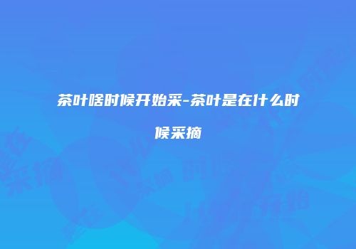 茶叶啥时候开始采-茶叶是在什么时候采摘