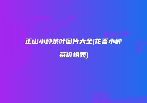 正山小种茶叶图片大全(花香小种茶价格表)