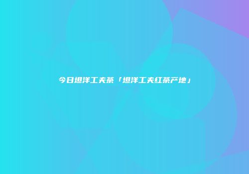 今日坦洋工夫茶「坦洋工夫红茶产地」