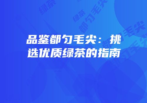 品鉴都匀毛尖：挑选优质绿茶的指南