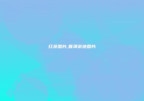 红茶图片,普洱茶地图片