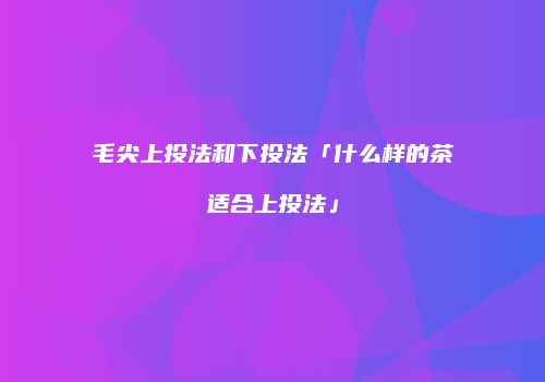 毛尖上投法和下投法「什么样的茶适合上投法」