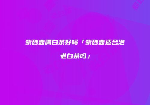 紫砂壶喝白茶好吗「紫砂壶适合泡老白茶吗」