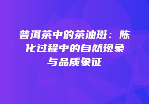 普洱茶中的茶油斑：陈化过程中的自然现象与品质象征